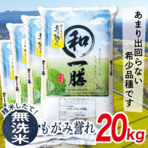 ふるさと納税 最上町 【無洗米】令和7年産山形県産もがみ誉れ20kg