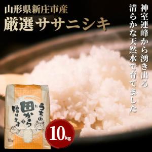 ふるさと納税 新庄市 新米 令和8年 厳選ササニシキ(精米)10kg