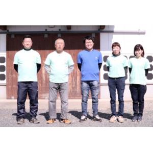 ふるさと納税 宇城市 先行予約 2027年3月...の詳細画像3