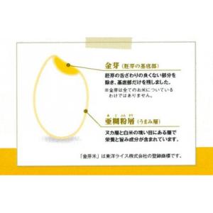 ふるさと納税 安来市 BG無洗米 金芽米つや姫...の詳細画像2