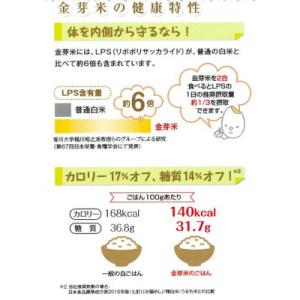 ふるさと納税 安来市 BG無洗米 金芽米つや姫...の詳細画像3