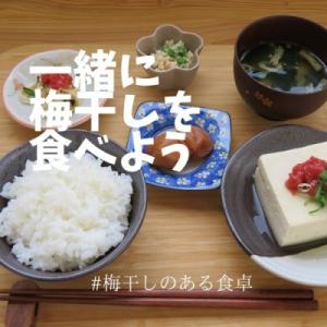 ふるさと納税 白浜町 訳あり梅干し はちみつ梅...の詳細画像3
