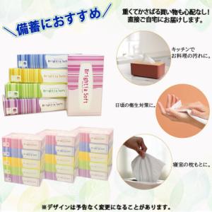ふるさと納税 倶知安町 ブライティア ソフト ...の詳細画像2