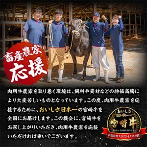 ふるさと納税 宮崎市 宮崎牛ロースステーキ 2...の詳細画像1