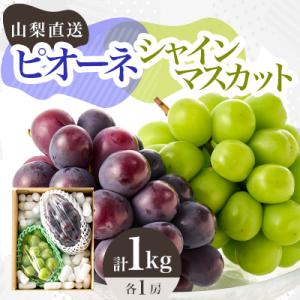 ふるさと納税 山梨市 【2026年発送】大人気ぶどう2種盛り合わせ　シャインマスカット・ピオーネ　計1kg以上