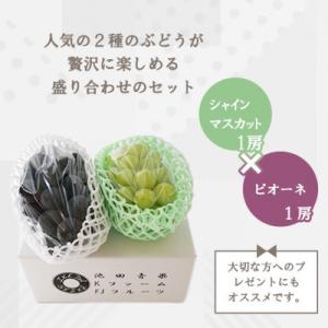 ふるさと納税 山梨市 【2026年発送】大人気...の詳細画像1