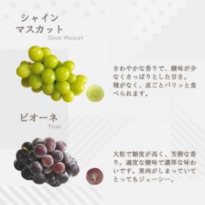 ふるさと納税 山梨市 【2026年発送】大人気...の詳細画像2