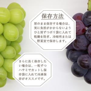 ふるさと納税 山梨市 【2026年発送】大人気...の詳細画像3