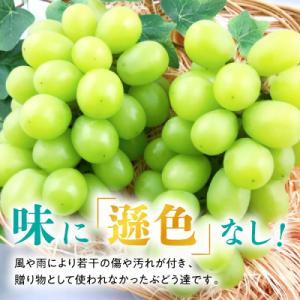 ふるさと納税 津山市 【2026年発送】訳あり...の詳細画像1