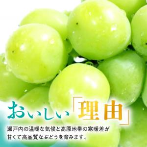 ふるさと納税 津山市 【2026年発送】訳あり...の詳細画像2