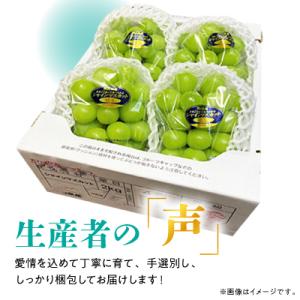ふるさと納税 津山市 【2026年発送】訳あり...の詳細画像3
