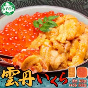 ふるさと納税 弟子屈町 ウニ 100g &amp; いくら醤油漬け 200g 海鮮 2色丼セット 北海道 弟...