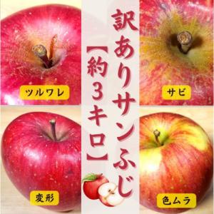 ふるさと納税 五戸町 青森りんご サンふじ約3kg【訳あり・家庭用】