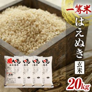 ふるさと納税 酒田市 はえぬき 玄米5kg×4袋20kg