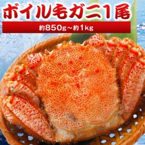 ふるさと納税 稚内市 北海道産 毛ガニ 1尾 850g〜1kg (ボイル)【2025製造】