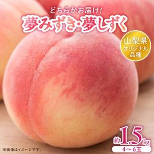 ふるさと納税 山梨県 日本一の桃の里 山梨よりもぎたてを直送!山梨県オリジナル品種「夢みずき・夢しずく」1.5キロをお届け