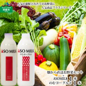 ふるさと納税 阿蘇市 季節のお野菜セットと阿部牧場の三ツ星ASOMILK800ml&amp;三ツ星のむヨーグ...