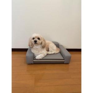 ふるさと納税 志摩市 ペットソファリオン