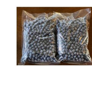 ふるさと納税 土浦市 農園直送!中粒(Mサイズ)冷凍ブルーベリー2kg