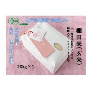 ふるさと納税 津南町 魚沼産コシヒカリ　苗場プリンセス・プレミアム　JAS認証米　玄米20kg(5kg×4)