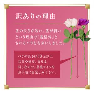 ふるさと納税 田原市 バラの花束 訳ありチャー...の詳細画像2