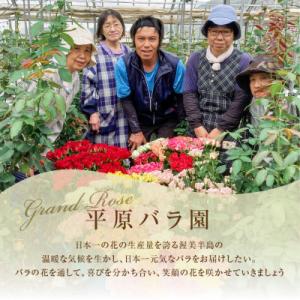 ふるさと納税 田原市 バラの花束 訳ありチャー...の詳細画像3