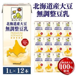 ふるさと納税 茨城県 キッコーマンソイフーズ　北海道産大豆 無調整豆乳 1L×12本