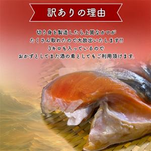 ふるさと納税 いすみ市 【訳あり】人気海鮮お礼...の詳細画像1