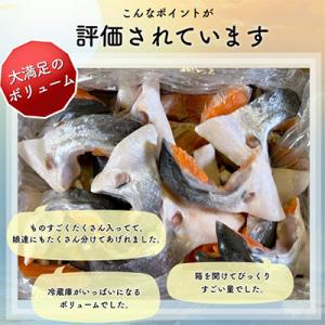 ふるさと納税 いすみ市 【訳あり】人気海鮮お礼...の詳細画像3