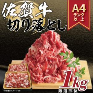 ふるさと納税 伊万里市 艶さし!【A4〜A5】佐賀牛切り落とし　1kg(500g×2パック)(伊万里...