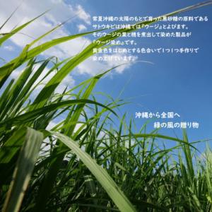 ふるさと納税 豊見城市 《ウージ染め》麻100...の詳細画像2