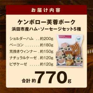 ふるさと納税 浜田市 浜田市産 ケンボロー芙蓉...の詳細画像3