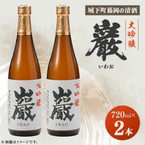 ふるさと納税 藤岡市 巌(いわお)「大吟醸」720ml×2本