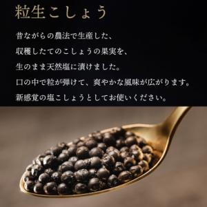 ふるさと納税 入間市 【世界初・元祖】粒生こしょう 30g×3個 生胡椒の塩漬け 入間市贈答ギフトセ...