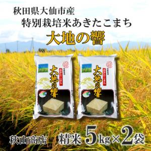 ふるさと納税 大仙市 令和7年産「特別栽培米 秋田県産あきたこまち　大地の響　精米10kg(5kg×2)」