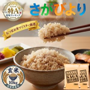 ふるさと納税 吉野ヶ里町 令和7年産【玄米】さがびより10kg(5kg×2袋)五つ星お米マイスター厳選!(吉野ヶ里町)