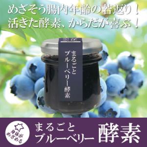 ふるさと納税 いすみ市 まるごとブルーベリー酵素