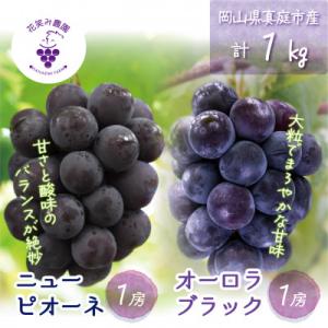 ふるさと納税 真庭市 岡山　花笑み農園の『ニューピオーネ&オーロラブラック』1kg(2房)　PA-1