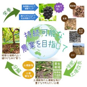 ふるさと納税 真庭市 岡山 花笑み農園の『ニュ...の詳細画像2