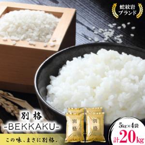ふるさと納税 養父市 令和8年産【先行受付】2026年9月以降発送【蛇紋岩ブランド　別格米20kg】