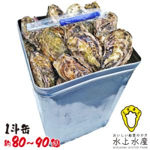 ふるさと納税 七尾市 能登のかき　一斗缶(約80〜90個・ナイフ付)