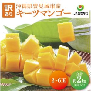 ふるさと納税 豊見城市 【2027年8月より順次...の商品画像