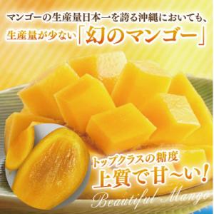 ふるさと納税 豊見城市 【2027年8月より順...の詳細画像1