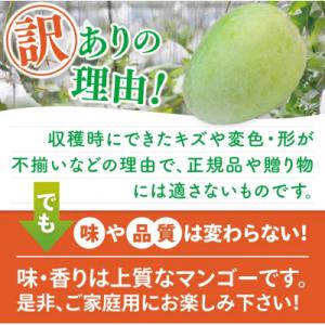 ふるさと納税 豊見城市 【2027年8月より順...の詳細画像2