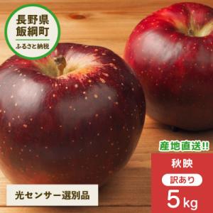ふるさと納税 飯綱町 2026年10月以降出荷 訳あり りんご 秋映 5kg 光センサー選果 12〜25玉