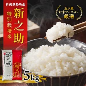 ふるさと納税 柏崎市 【令和8年産】特別栽培米　新潟県柏崎産「新之助」5kg【五ツ星お米マイスター厳選】