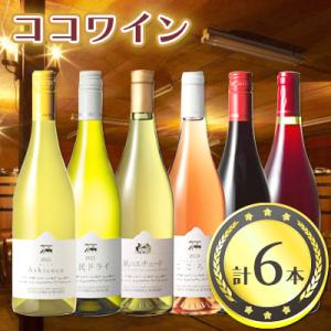 ふるさと納税 足利市 ココワイン6本セット