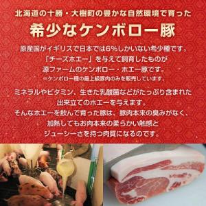 ふるさと納税 大樹町 【無添加】ケンボロー・ホ...の詳細画像2
