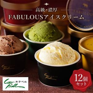 ふるさと納税 大樹町 高級・濃厚 FABULOUSアイスクリーム12個セット