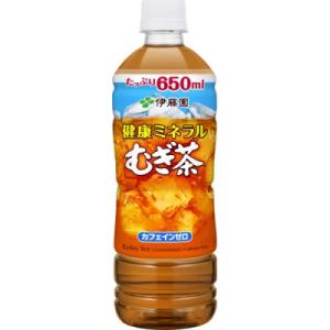 ふるさと納税 海南市 伊藤園の健康ミネラル麦茶　650ml×24本【1ケース】